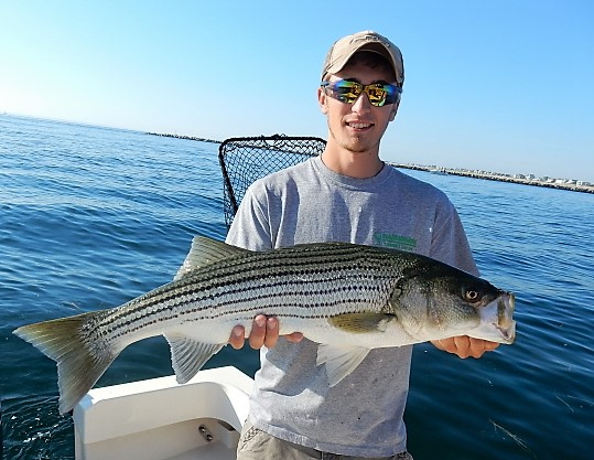 Nick's Merrimack River striper